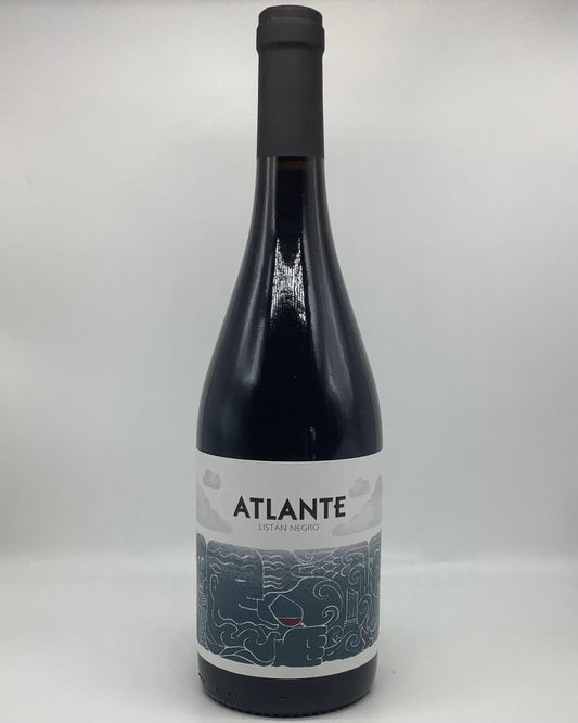 Atlante, Listán Negro, Valle de la Orotava, Tenerife, Canary Islands, Spain 2019 newarrival